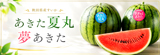 すいか
