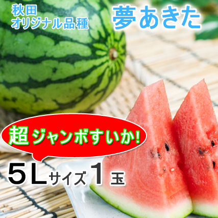 【終売】秋田産すいか「夢あきた」 超大玉５Lサイズ(1玉）10～12kg JAうご 光センサー【出荷期間:7月下旬～8月中旬まで】 ※ご注文順に順次発送【お届け日指定不可】