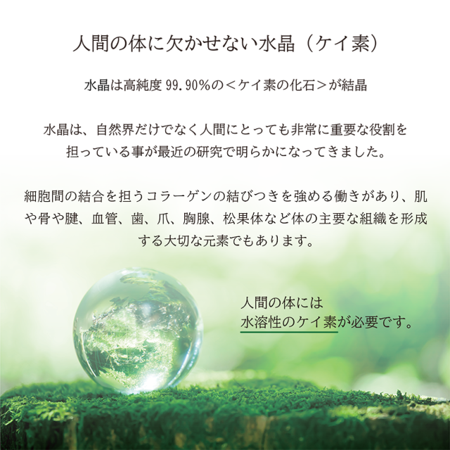 マイライトスティック