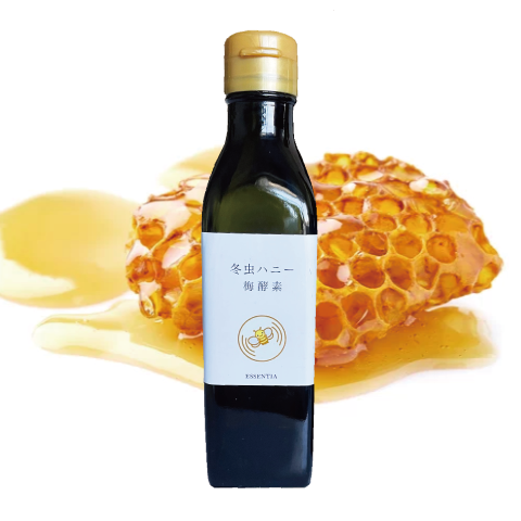 冬虫ハニー