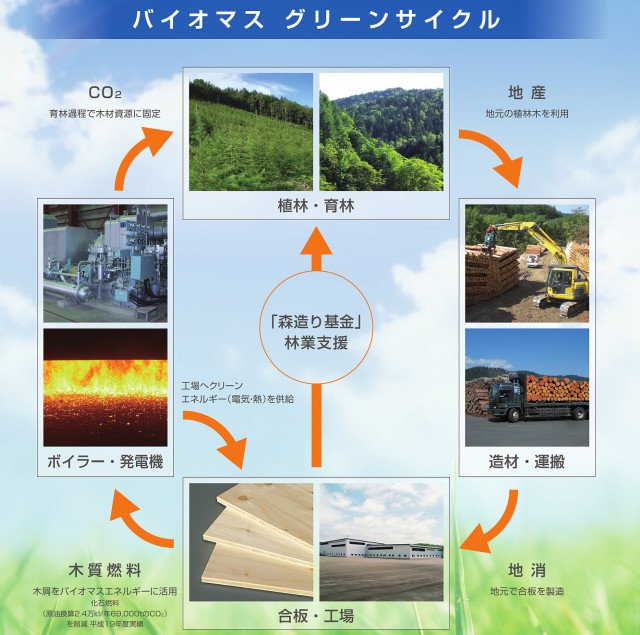 地球樹Mクロス　クロス用下地合板　12.5mm厚