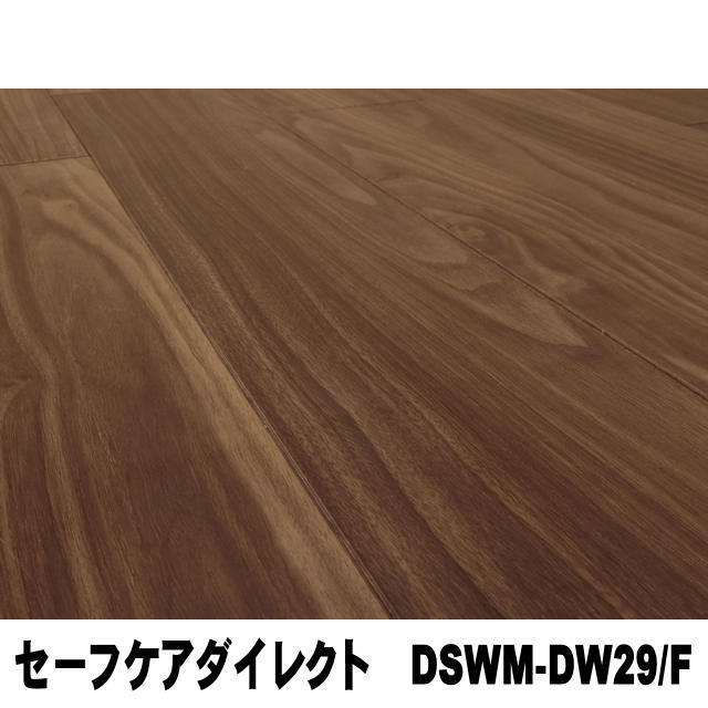 フロア　セーフケアダイレクト　DSWM-DW29/F