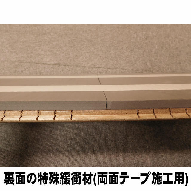 フロア　セーフケアダイレクト　DSWM-DW29T