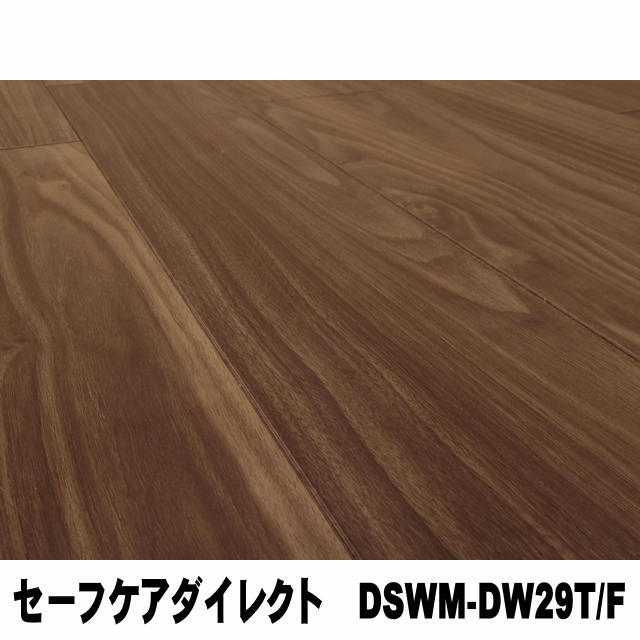 フロア　セーフケアダイレクト　DSWM-DW29T/F