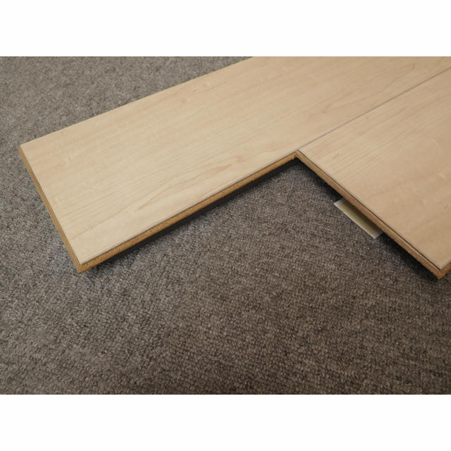 フロア　セーフケアダイレクト　DSWM-LM38T