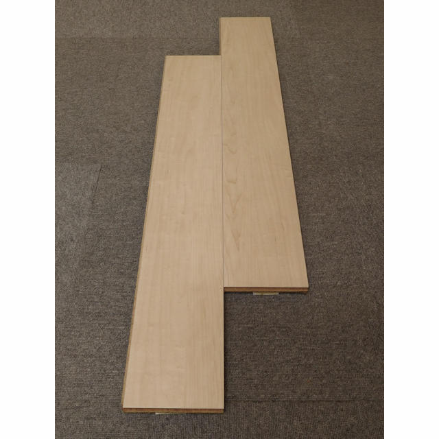 フロア　セーフケアダイレクト　DSWM-LM38T