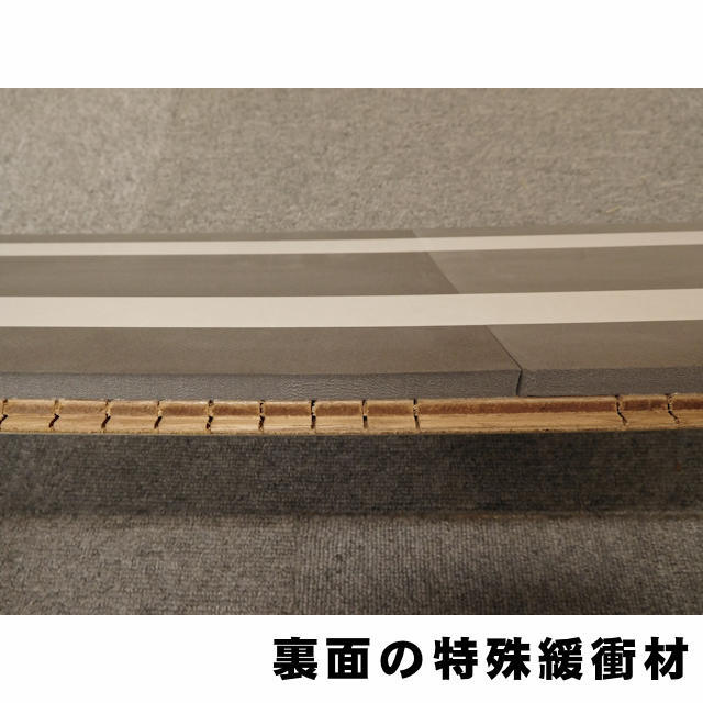 フロア　セーフケアダイレクト　DSWM-LM38T