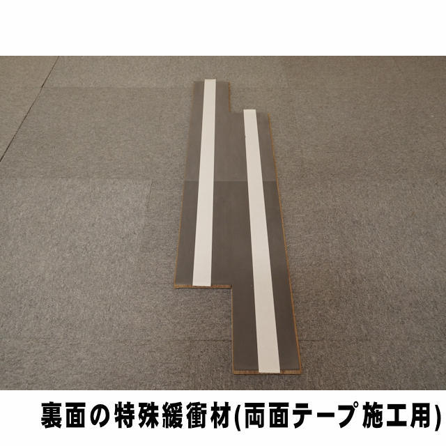 フロア　セーフケアダイレクト　DSWM-LM38T