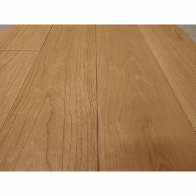 セーフケアダイレクト　DSWM-MC62/F