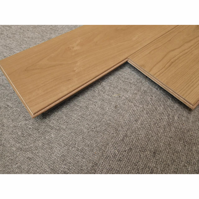 セーフケアダイレクト　DSWM-MC62/F