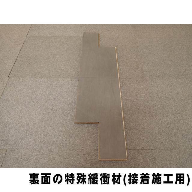 セーフケアダイレクト　DSWM-MC62/F