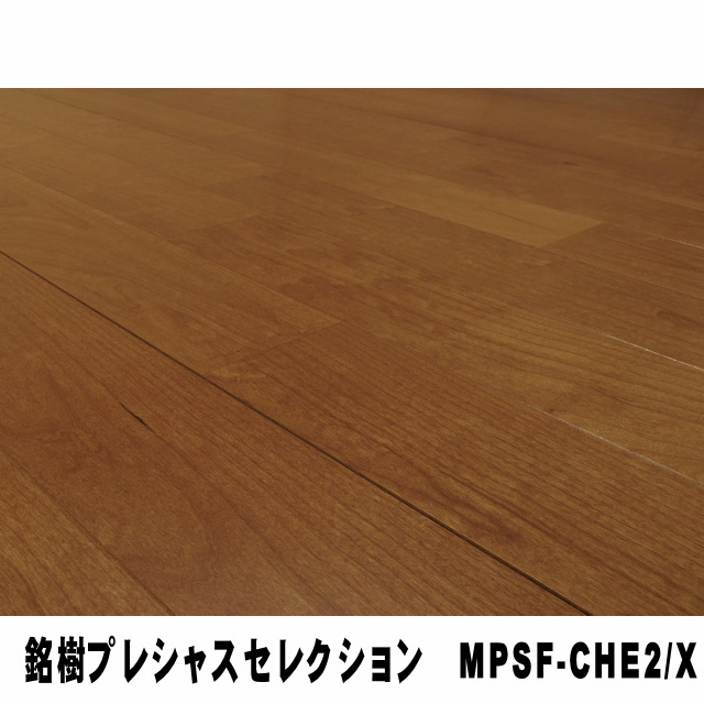 銘樹プレシャスセレクション　MPSF-CHE2/X