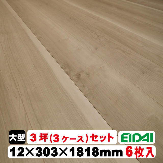 永大　スキスムTフロア　TRN-SAC
