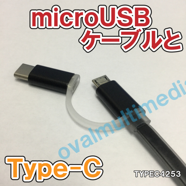 microUSBとType-Cの2 in 1