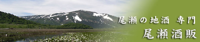 ページタイトル