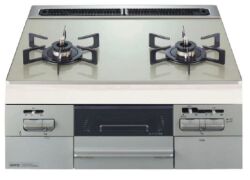 ファミN2WV8RWTP2SI