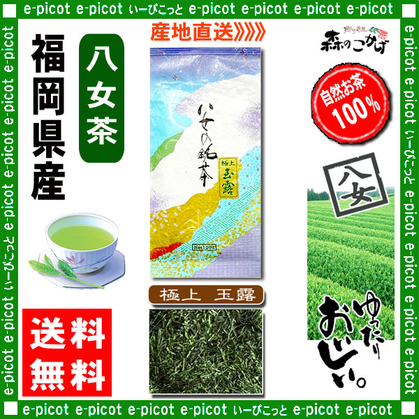 Y【送料無料】 極上 玉露茶 （100g）≪八女茶≫ ◇ 福岡県-日本茶 -厳選の緑茶