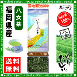 Y【送料無料】 極上 玉露茶 （100g）≪八女茶≫ ◇ 福岡県-日本茶 -厳選の緑茶