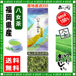 Y【送料無料】 極上 煎茶 白折茶 （茎茶）（100g×2個セット）≪八女茶≫ ◇ 福岡県-日本茶 -厳選の緑茶