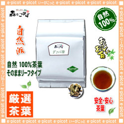 A3 業務用 健康茶 グァバ茶 お徳用 1kg ぐぁば茶 100 シジュウム茶 グアバ茶 森のこかげ健やかハウス