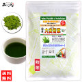 G【送料無料】 国産 大麦若葉粉末 （100g）[やさいパウダー100％] 野菜粉末 （青汁）（オオムギ若葉）