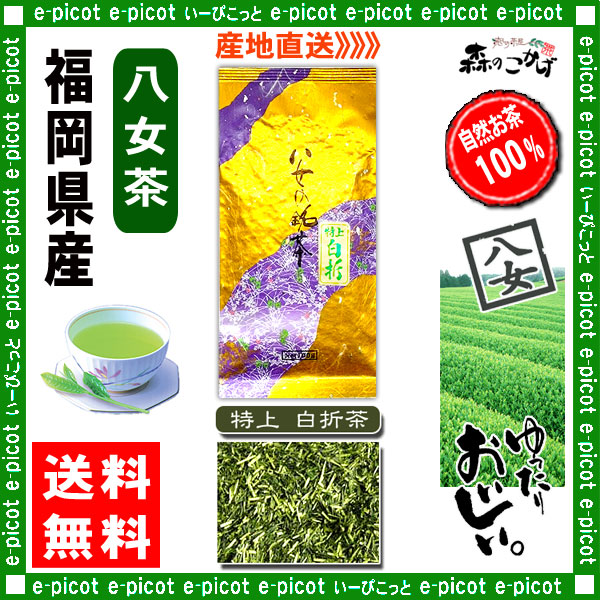 Y【送料無料】 特上 白折茶 （茎茶） ★（100g×2袋セット）≪八女茶≫ ◇ 福岡県-日本茶 -厳選の緑茶