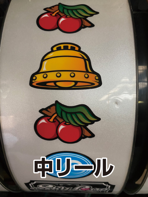 スカイラブ　リール傷