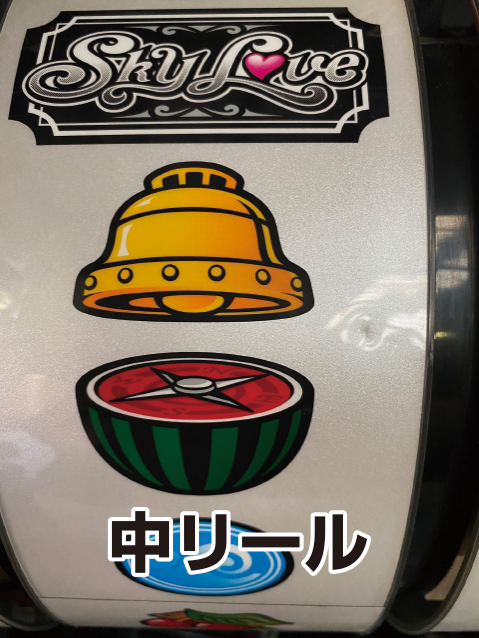 スカイラブ　リール傷