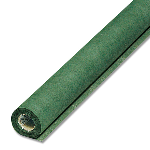 Fラップ　フカミドリ