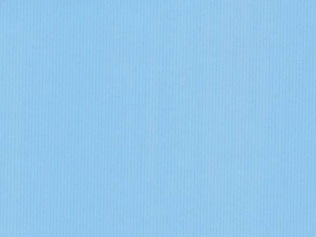 白筋無地B