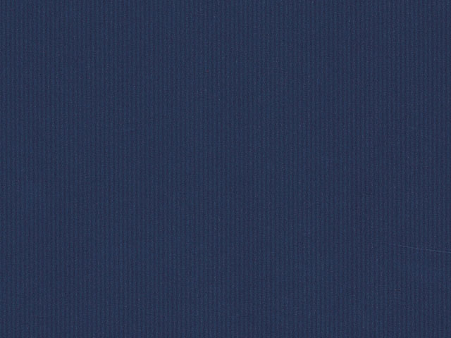 筋無地　紺