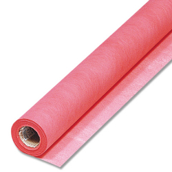 Fラップ　サンゴ