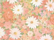 プリンセス