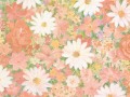 プリンセス