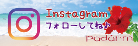 パダームインスタグラム