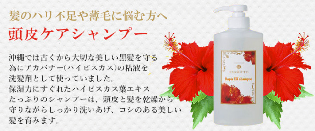パダームのラピスEXシャンプー