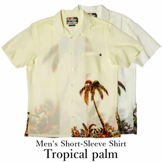 【オンライン限定】Tropical palm