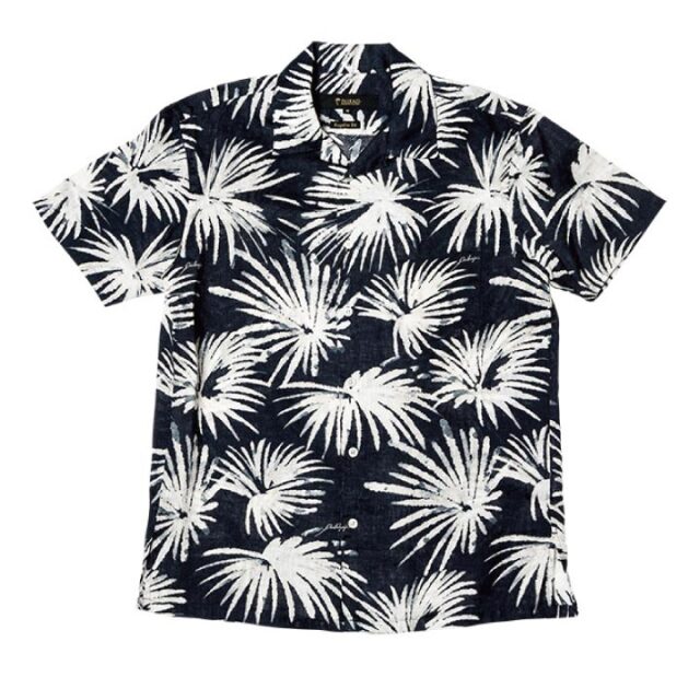 水しぶきに揺れるヤシ　Fountain Palm