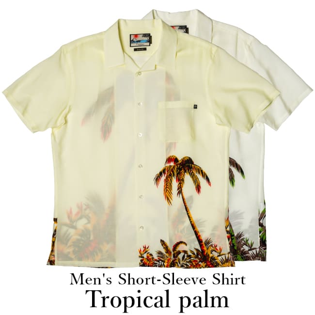 【オンライン限定】Tropical palm