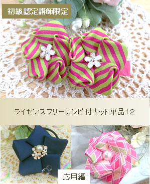 初級認定講師用ライセンスフリーレシピ付キット単品１２