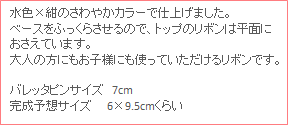 キッズ・初級認定講師単品21のサイズ