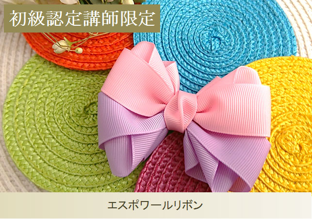 初級認定講師限定単品33