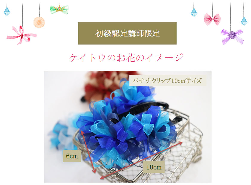 セロシアリボン（バナナクリップ）