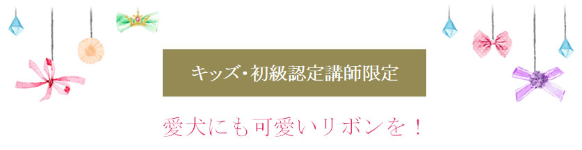 愛犬にも可愛いリボンを