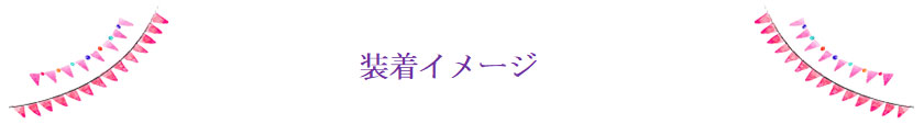 装着イメージ
