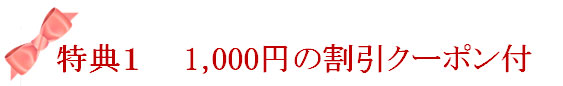 1000円の割引クーポン付き