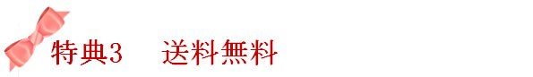 送料無料