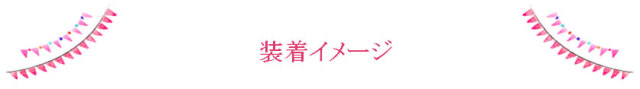 装着イメージ