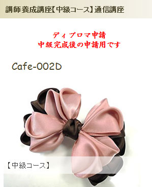 中級講座ディプロマ申請