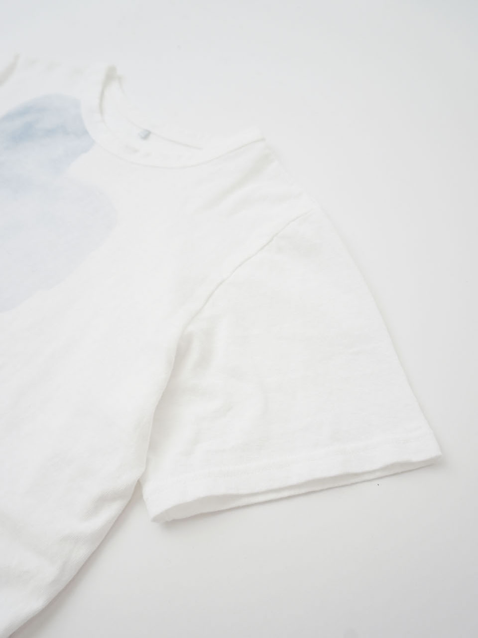 19／－ラフィ天竺花おぼろ柄プリントTシャツ